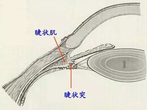 图片6